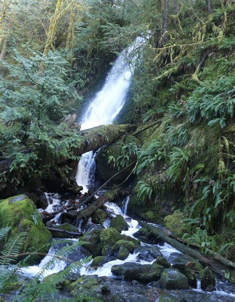 Take A Day Trip To See Waterfalls On The Olympic Peninsula - ThurstonTalk