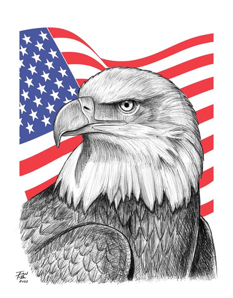 Bald Eagle Drawing, America, United States, Patriotism, Fine Art Print ...