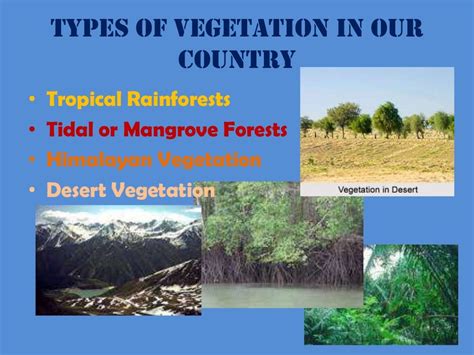 Ppt on natural vegetation and wildlife by Gursimran Singh