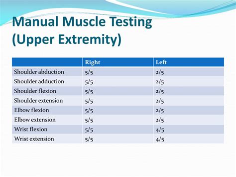 Manual Muscle Testing Upper Extremity Pdf