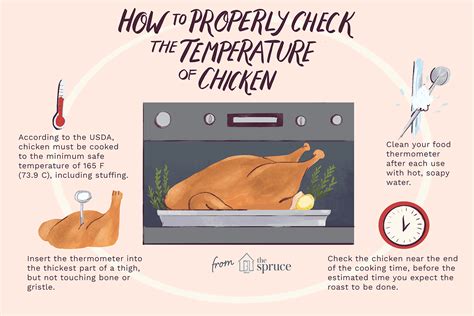 How To Check The Temperature Of Chicken - Twistchip Murasakinyack