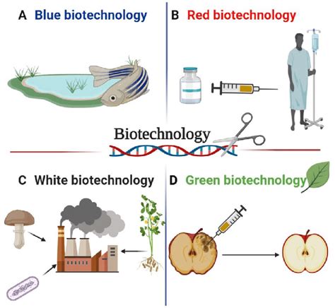 The four branches or "colors" of biotechnology. a Blue biotechnology ...