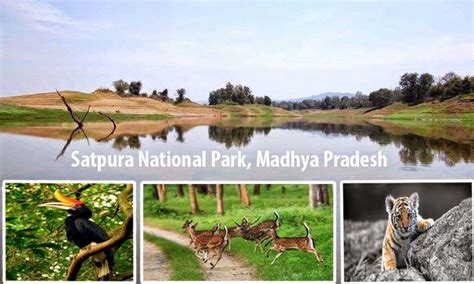 Exploring Satpura National Park - GO Summer Holidays