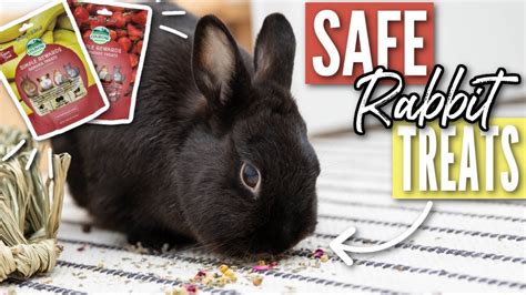 What Kind Of Treats Are Safe And Healthy For Rabbits