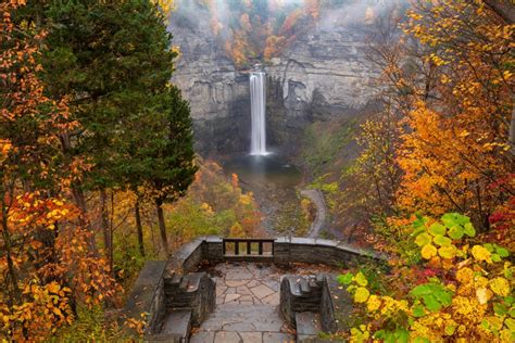 Are Dogs Allowed At Taughannock Falls