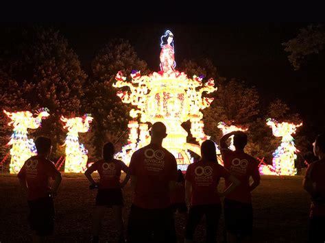 Asian Lantern Festival Lights up the Zoo Night Sky – OCA Greater Cleveland Chapter