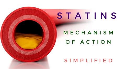 Mechanism Of Action Of Statins