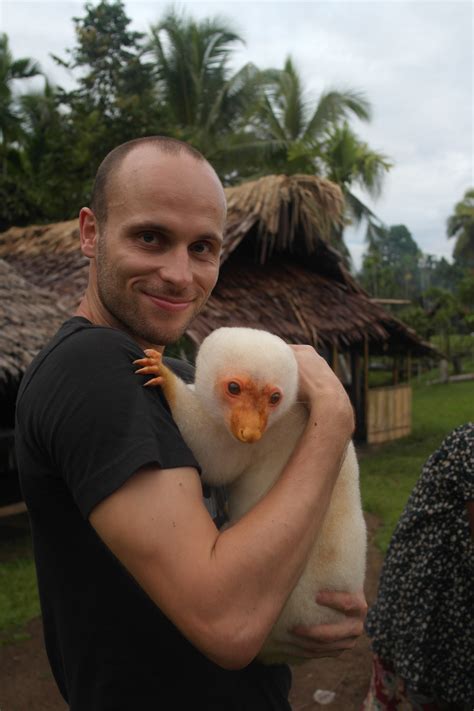 Fun Facts About The Cuscus Of Papua New Guinea - Man vs Clock