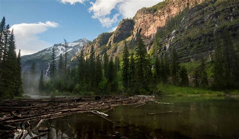 Avalanche Lake Trail