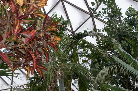 Des Moines Botanical Center on Behance