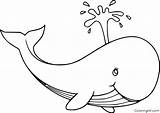 22 Free Printable Blue Whale Coloring Pages sketch template