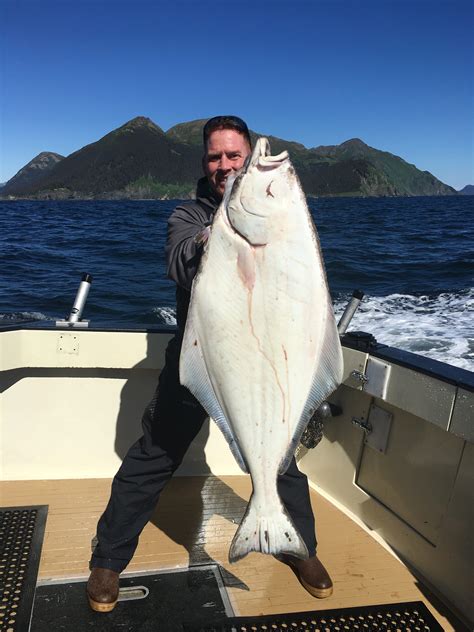 Homer Alaska Fishing Charters | Full Day, Combos, & Overnight Trips