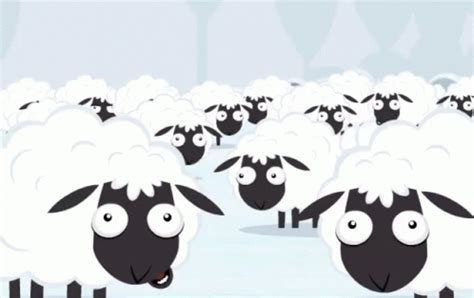 Sheep Lol GIF - Sheep Lol Scary - Discover & Share GIFs | Funny gif, Cute gif, Sheep