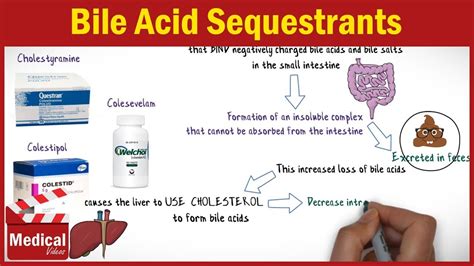 Pharmacology [CVS] 32- Antihyperlipidemic Drugs [ 4- Bile Acid ...