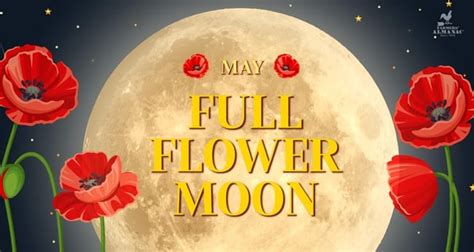 Full Moon May 2024 - Flower Moon And Alternative Names - Farmers' Almanac