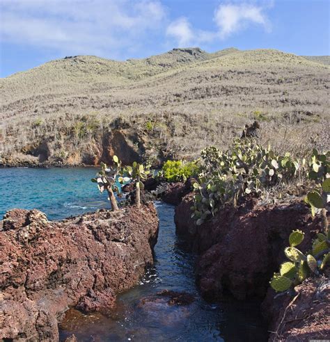 Rabida island - Ecuador - Blog about interesting places