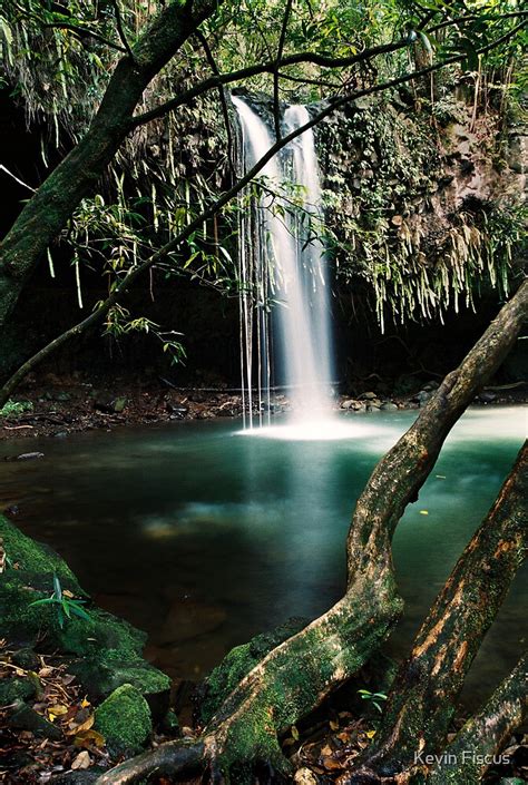 "Twin Falls, Maui" by Kevin Fiscus | Redbubble