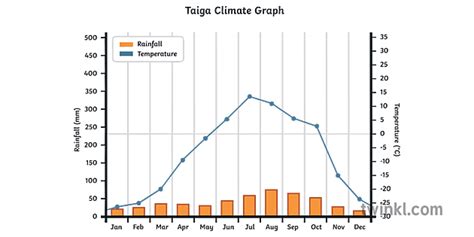 Taiga Climate Graph Geography Secondary Illustration - Twinkl