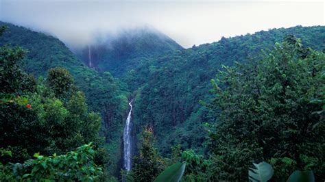 Carbet Falls Guadeloupe – Bing Wallpaper Download