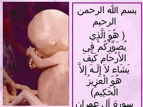 Infant of a diabetic mother