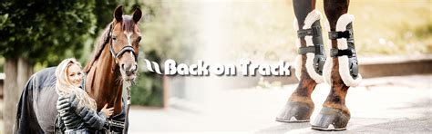 Back on Track | horze.eu