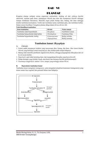 Plantae | PDF