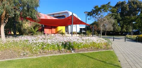 Edith Cowan University (ECU) - Mount Lawley Campus - Study Abroad Application Platform | ApplyZones