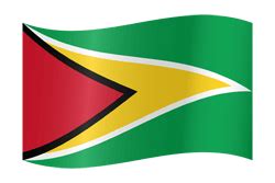 Guyana flag emoji - Country flags