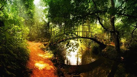 nature, Landscape, Trees, Forest, Bridge, Sunlight, River, Reflection, Path, Stream, Arch bridge ...