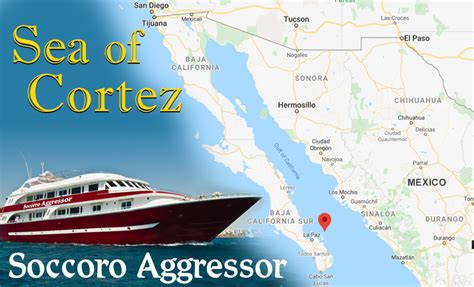 Sea of Cortez - Aggressor Adventures