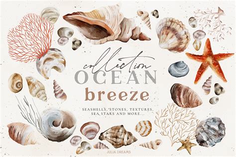 Ocean Breeze Collection - Design Cuts