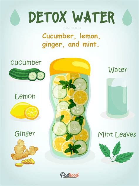 3 DIY Detox Drink Recipes for Body Cleanse | Healthy smoothies, Healthy ...