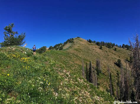 Hiking to Cascade Mountain - Girl on a Hike