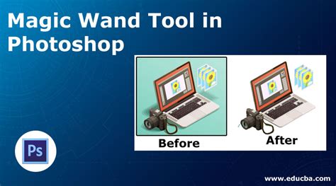 Magic Wand Tool in Photoshop | How to use the Magic Wand Tool