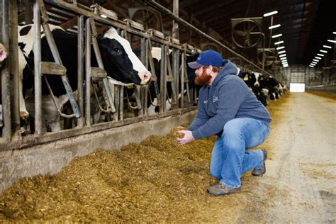 The Business of Dairy Farming | American Dairy Association NE