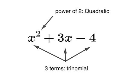 Quadratic Trinomial | Definition, Factorization & Examples - Video ...