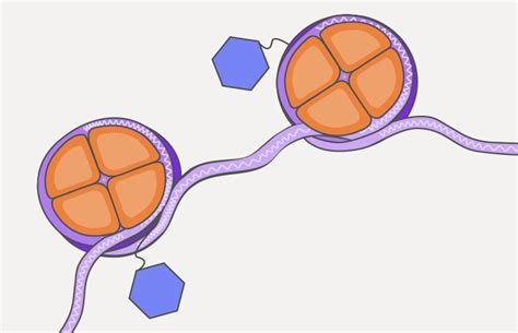 Epigenetics | Epigenetic analysis