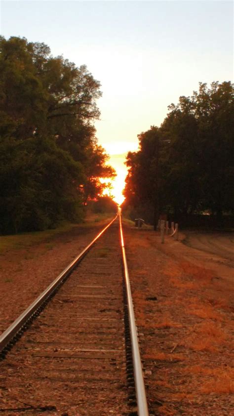 Railroad tracks with the sunset | Railroad tracks, Railroad, Sunset