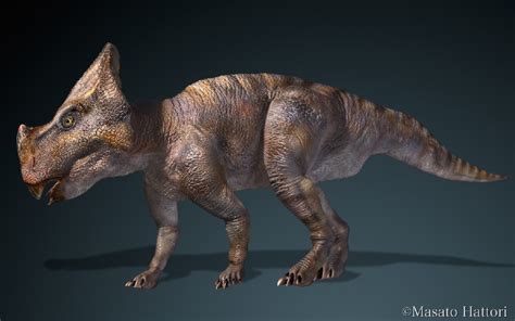 Montanoceratops Pictures & Facts - The Dinosaur Database