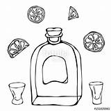 Whisky Coloring Pages Sketch Page sketch template