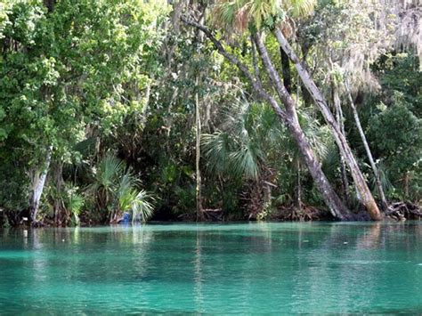 Rainbow Springs, Dunnellon, Florida | Florida Springs Summer Cool Down | Pinterest | Florida ...