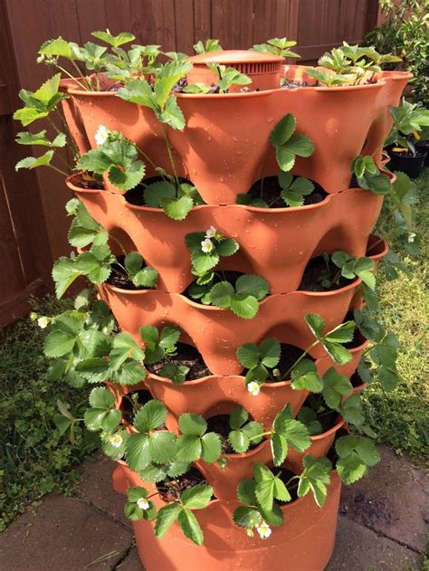 Garden Tower 2 Set-up & Planting Guide: Soil, Worms & Compost - GARDEN TOWER PROJECT | Plants ...