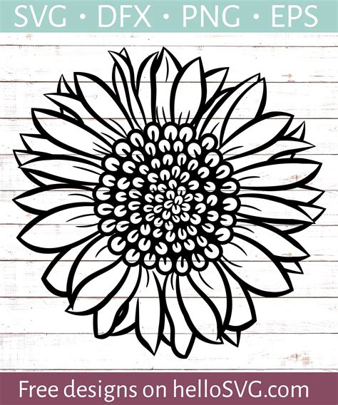 Sunflower Outline SVG - Free SVG files | HelloSVG.com