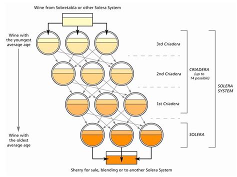 Solera System from WSET - Wine Decoded