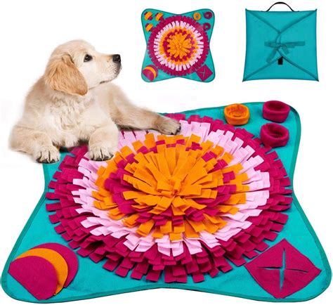 16 Dog Puzzle Toys For Your Clever Pooch | Dog Furiendly