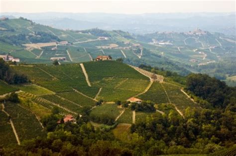 Strade del Vino | Monferrato Wine Road in Asti | Piedmont Wine Tour