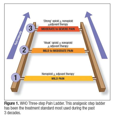 analgesic ladder - Google Search | Medical/Well-being | School ...