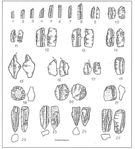 Late Mesolithic Anetivka flint knapping tradition | Download Scientific ...