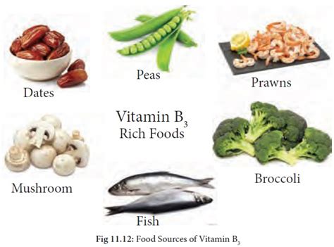 Vitamin B3 (Niacin) : Functions, Food Sources, Symptoms of deficiency