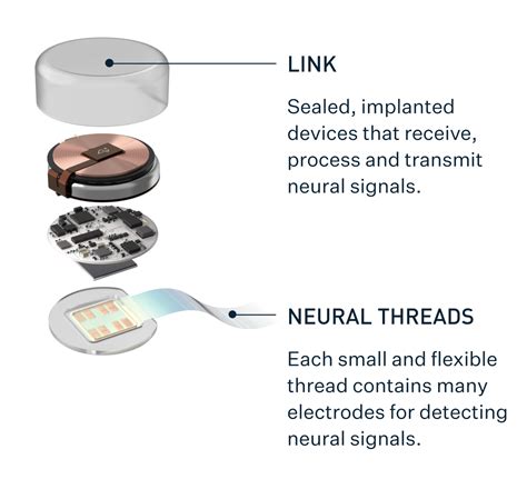 Neuralink: Ο Elon Musk θέλει δοκιμές σε ανθρώπους μέσα σε έξι μήνες ...